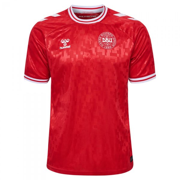 Denmark 2024 Home Kit 1