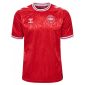Denmark 2024 Home Kit 1