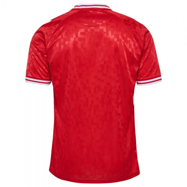 Denmark 2024 Home Kit back 1 Denmark 2024 Home Kit back 1
