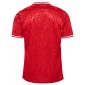 Denmark 2024 Home Kit back 1