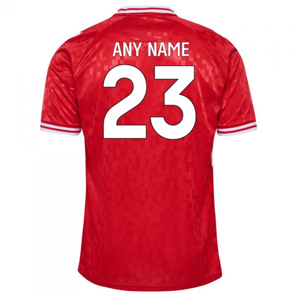 Denmark 2024 Home Kit back 1 nameset Denmark 2024 Home Kit back 1 nameset