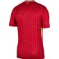 liverpool_home_24-25_back_1