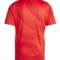 Spain 2024 Home Kit back 1
