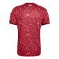 liverpool home 26-27 back